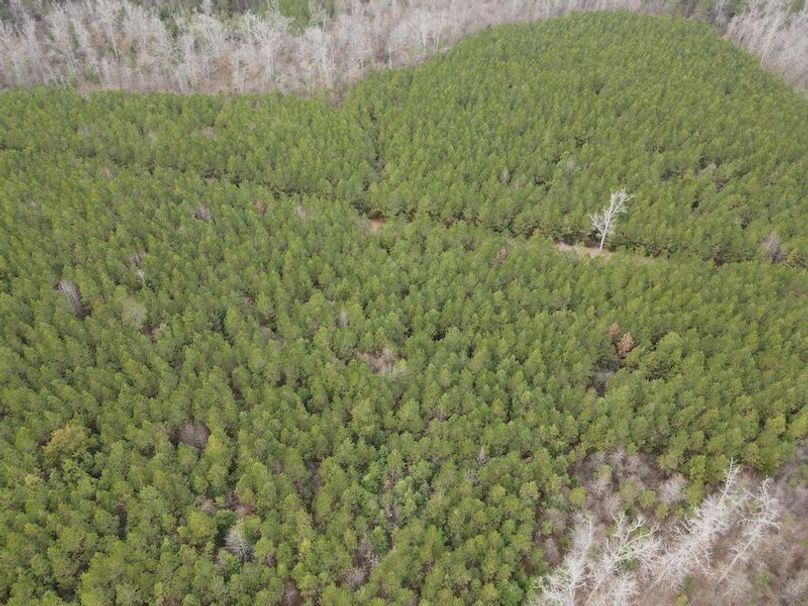 dji_fly_20240217_145008_78_1708203093592_photo