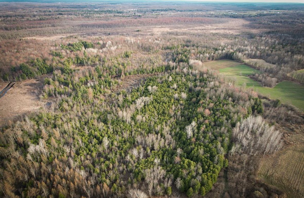 StLawrence_142.7_Bosse_Photos_4