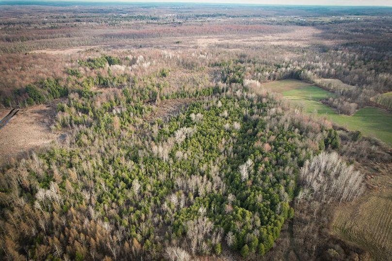 StLawrence_142.7_Bosse_Photos_4