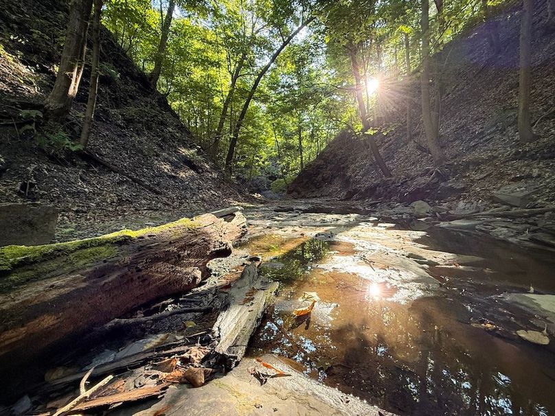 Seneca_65_Engels Photo 41