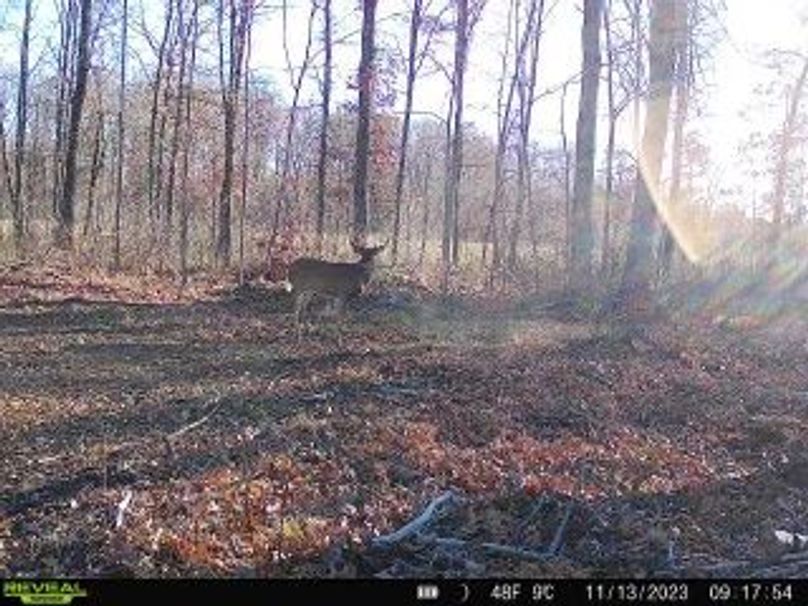 4181a1f3-e89a-4283-8cd2-62296b84fea9