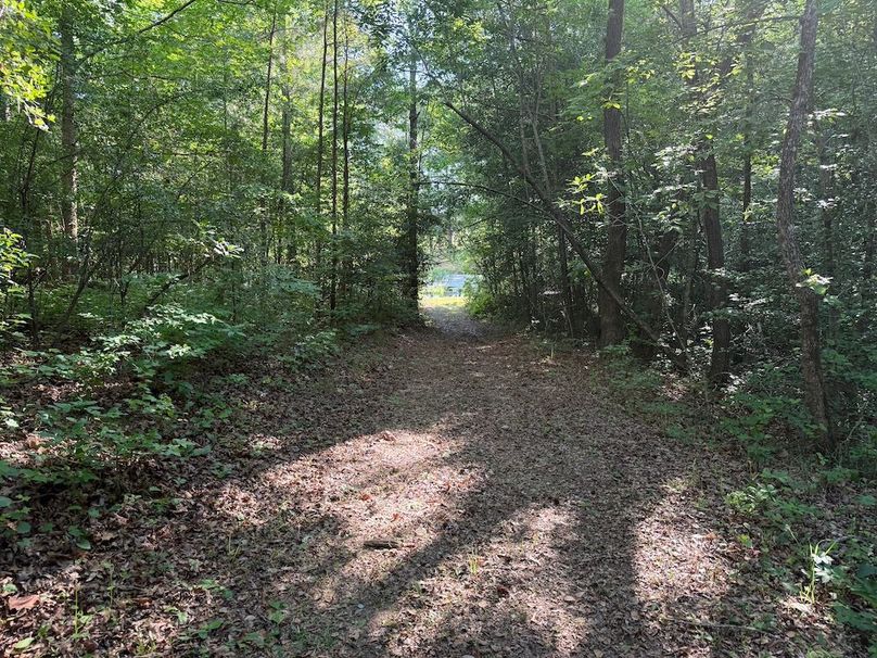 6 - trail 4 to pond