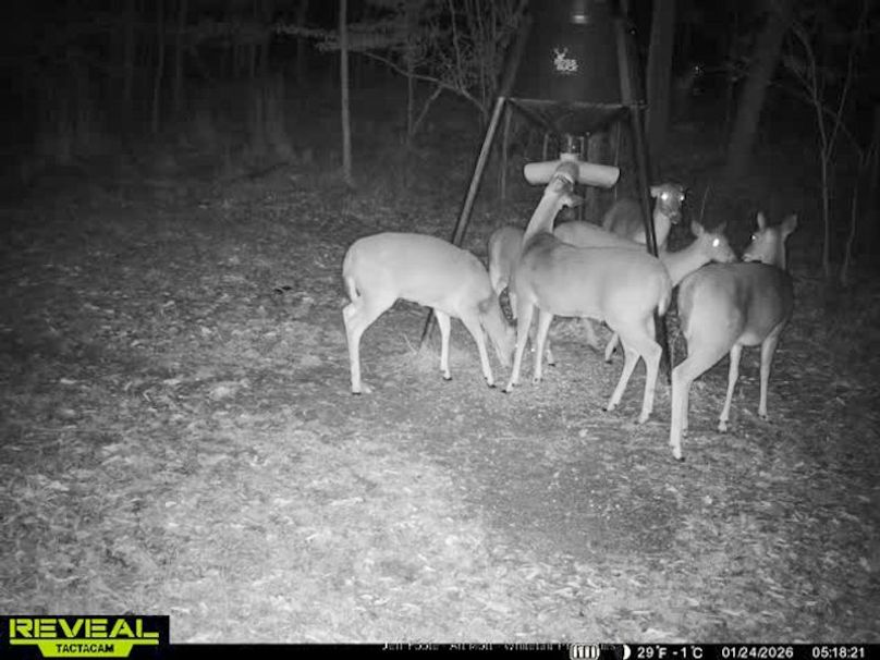 Holmes County - 108 - Rodriguez-84