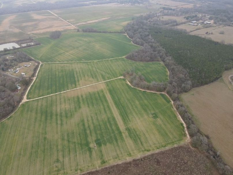 dji_fly_20260106_104342_787_1767987420294_photo