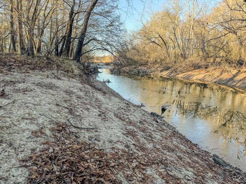 St. Francis 216.9 Calvin Parker Farms Profile -41