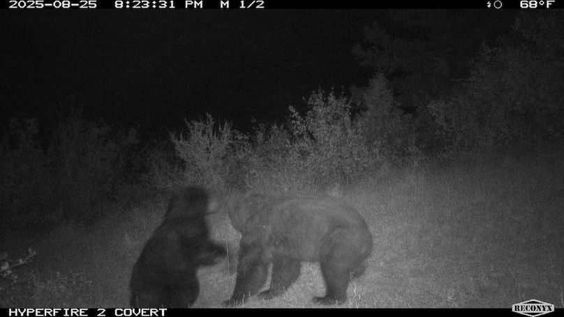 9ECF8FC6-AD95-4908-849D-E92F4FDAFBE3