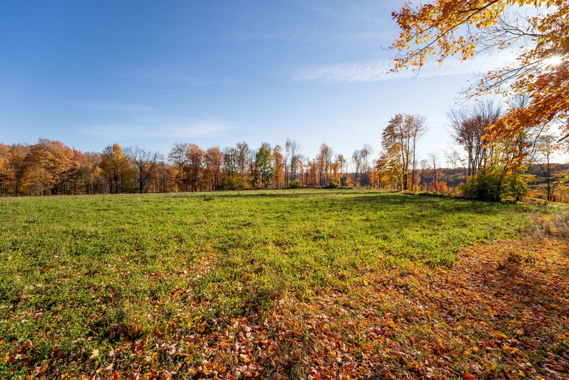 Elk PA 7000 Feature_Pro Photo-73