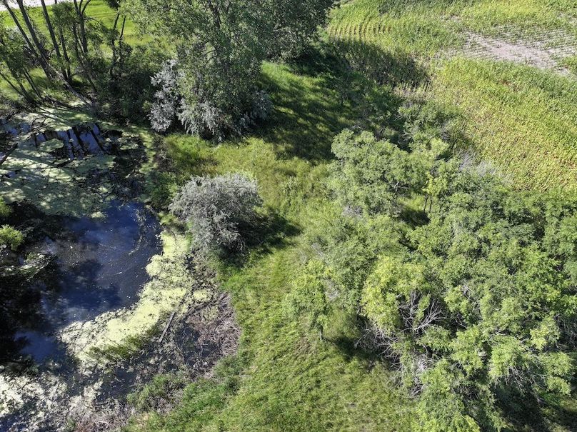 DJI_20250722151942_0682_D