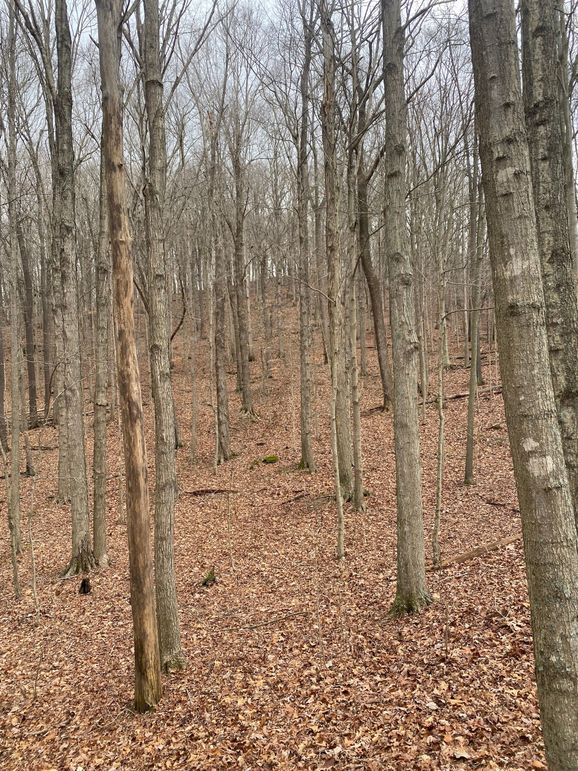 Greenup Ky Mauk 46.15 12