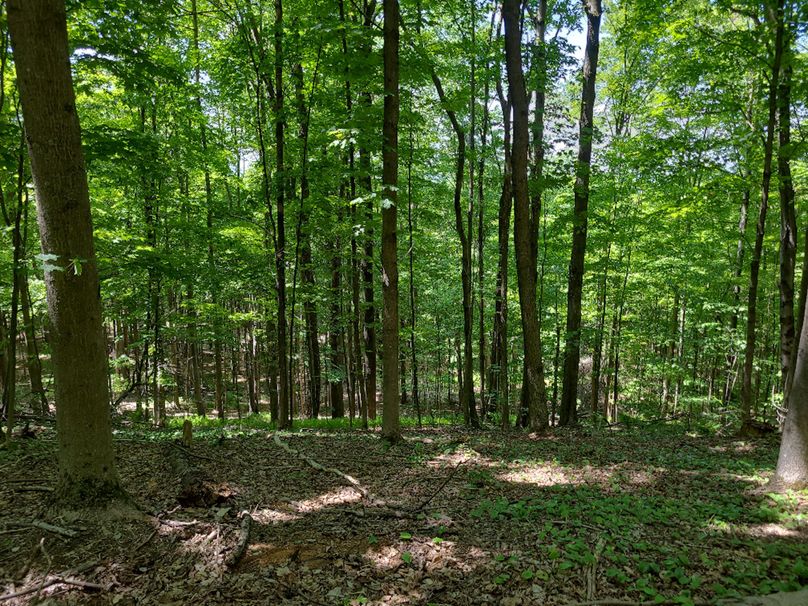 photo_fb60faa4-ff8e-49cb-93ba-62c922ddf918