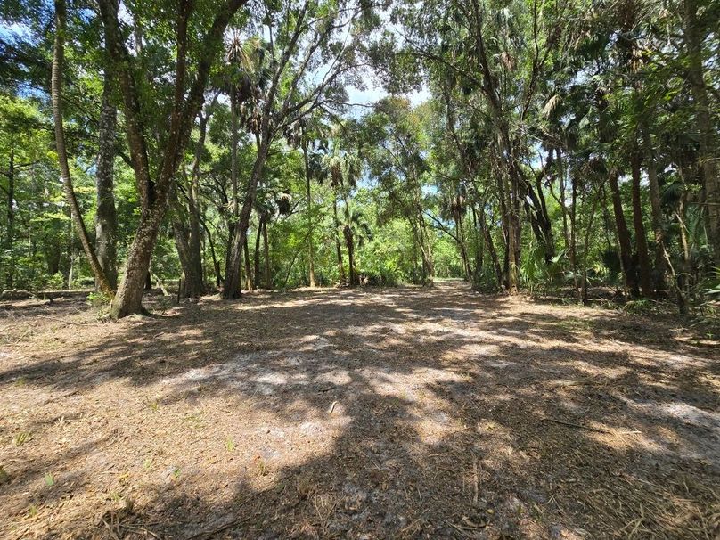 Lot 3010