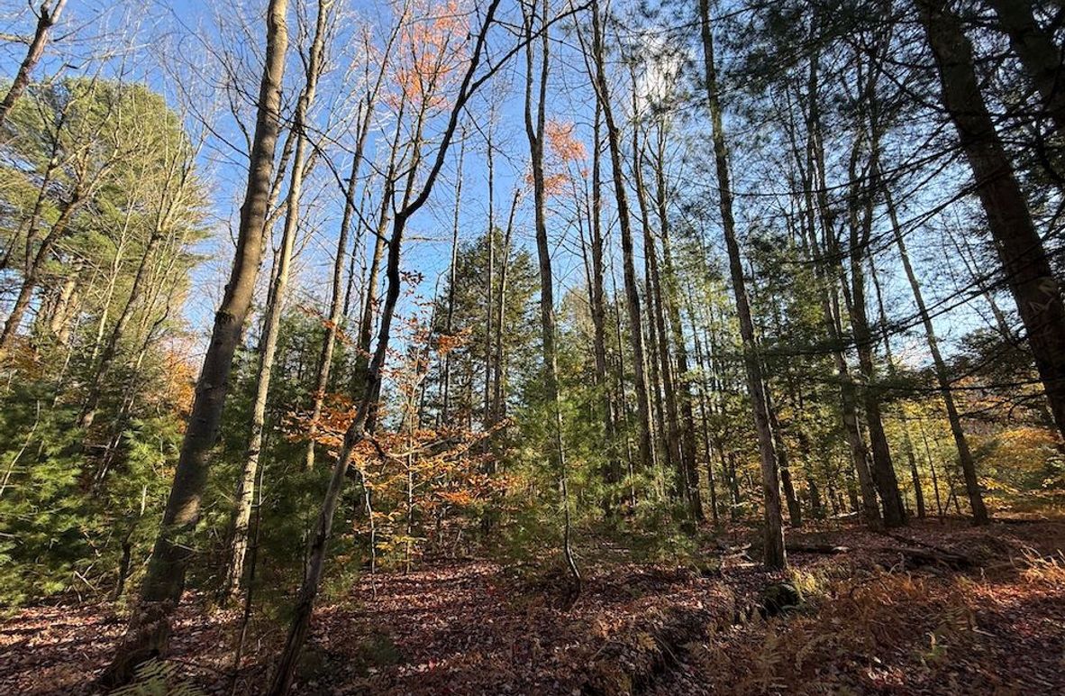 Oswego_26.28_Koehler Photo 5