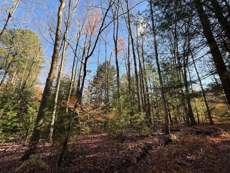 Oswego_26.28_Koehler Photo 5