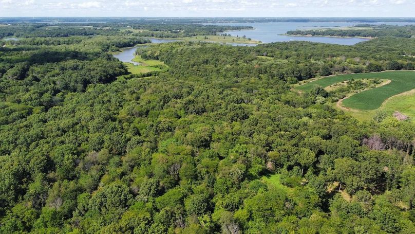 dji_fly_20240801_161108_973_1722546680742_photo_optimized