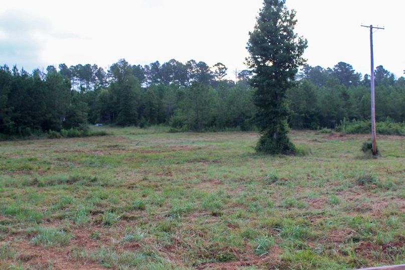 Madison Co - 20.25 - Camden Glenn-09