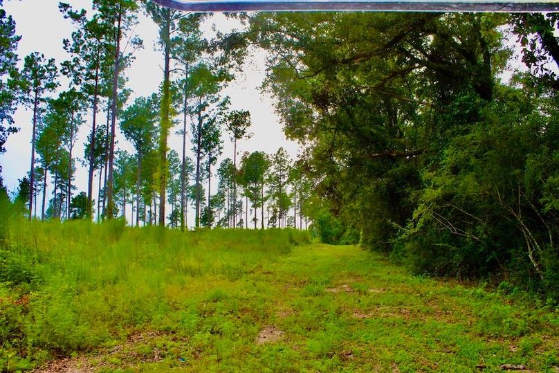 A508A2E0-9C76-4D51-811C-18118BE30BEF_1_105_c