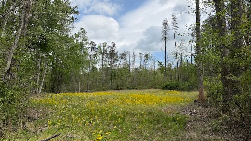 edmonson 110 26