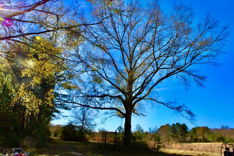 5A323B96-F382-4752-80E7-9F24084C2026_1_201_a-2