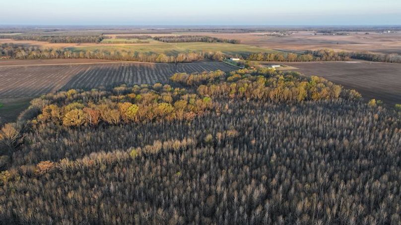 Panola 164.7 SPI Land Ventures-56