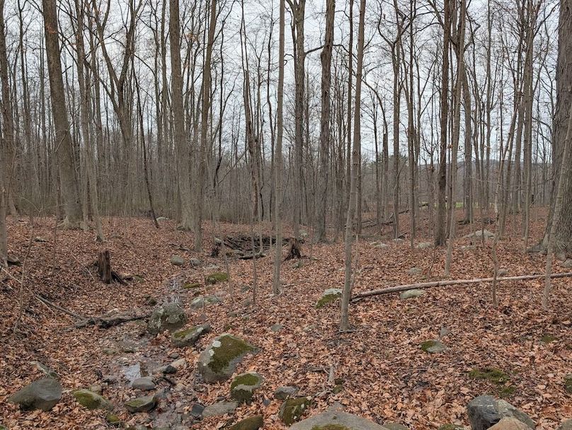 PXL_20251120_190706301