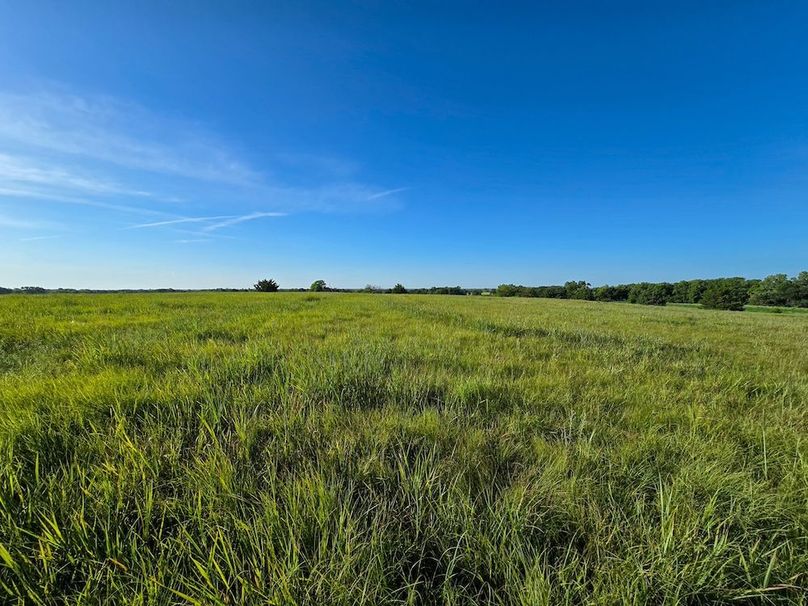 Copy of 20250729_082024