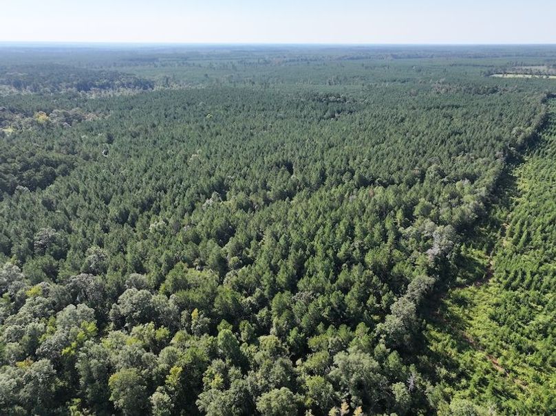 dji_fly_20250908_094242_0424_1757354100586_photo