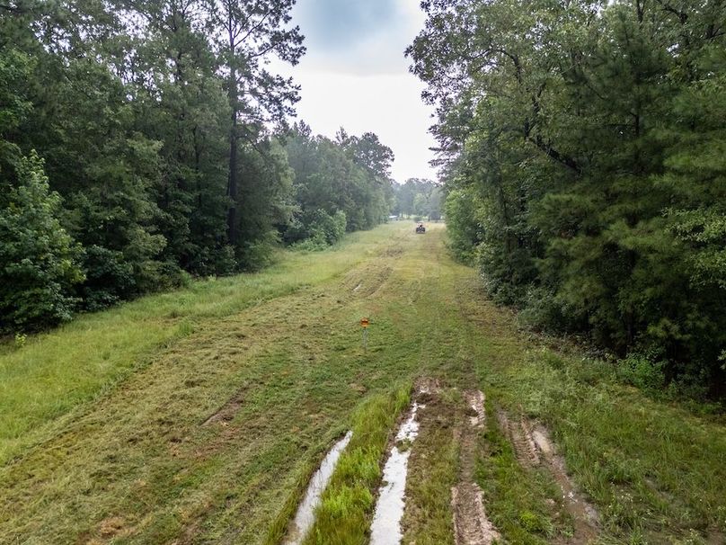 25 Panola Co. 40ac - Rouse-31