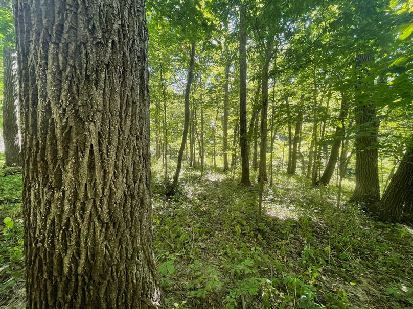 Grant 110 - 31 of 47