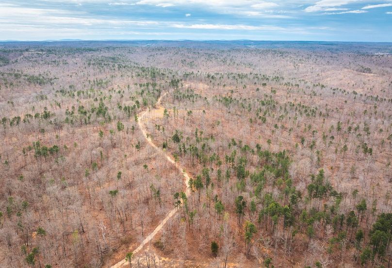 DJI_20250403120647_0576_D