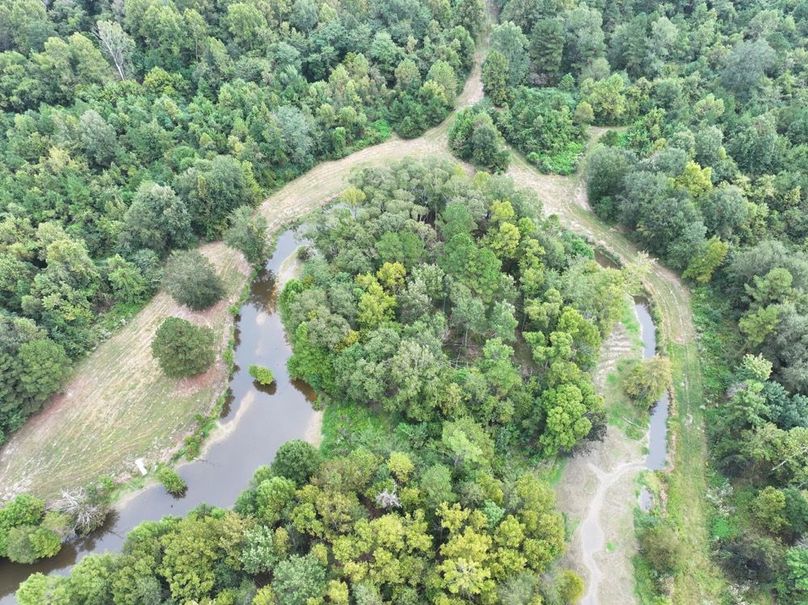 dji_fly_20250924_092454_0517_1758726292104_photo