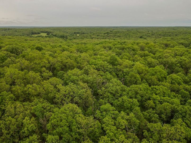 dji_fly_20260519_170120_439_1779228125043_photo