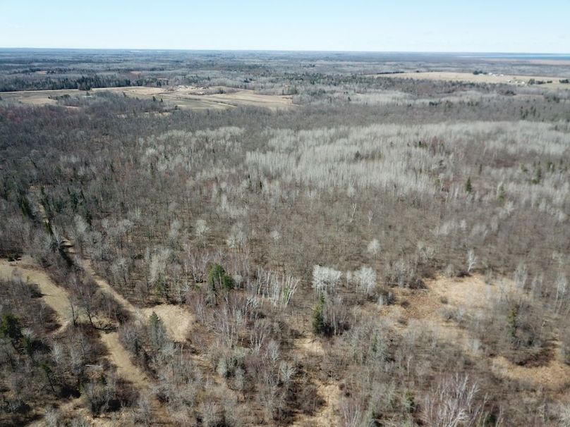DJI_0015
