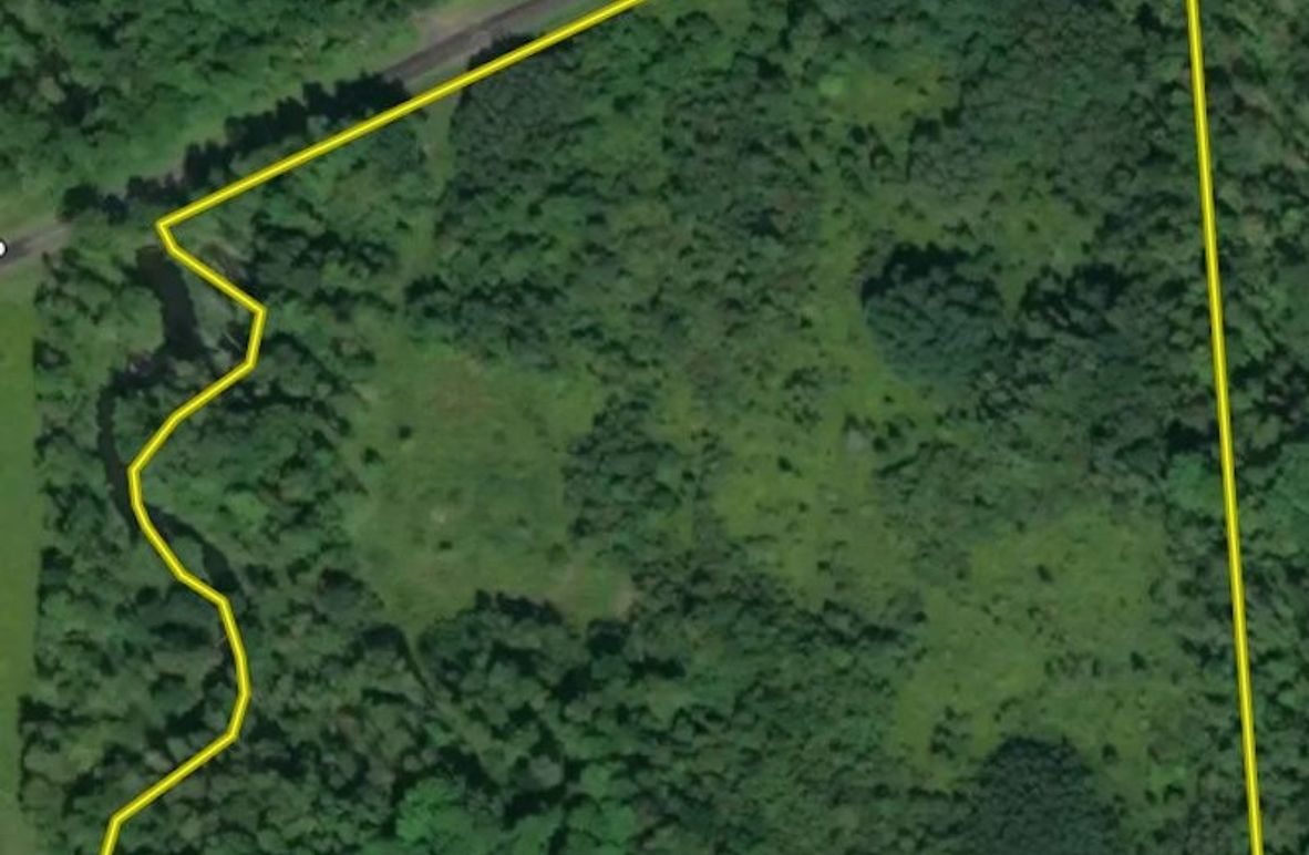 Wayne_25.53_OConnor1