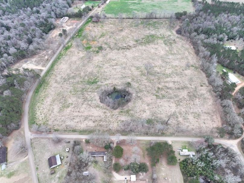 Copy of Copy of dji_fly_20260217_143348_0146_1771436906858_photo