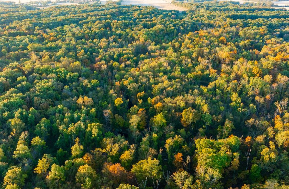 DJI_20251022190003_0003_D