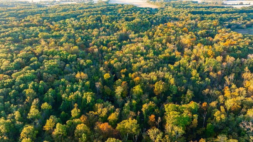 DJI_20251022190003_0003_D