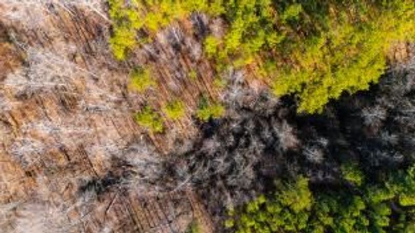 MCKINNON TRACT 29-21