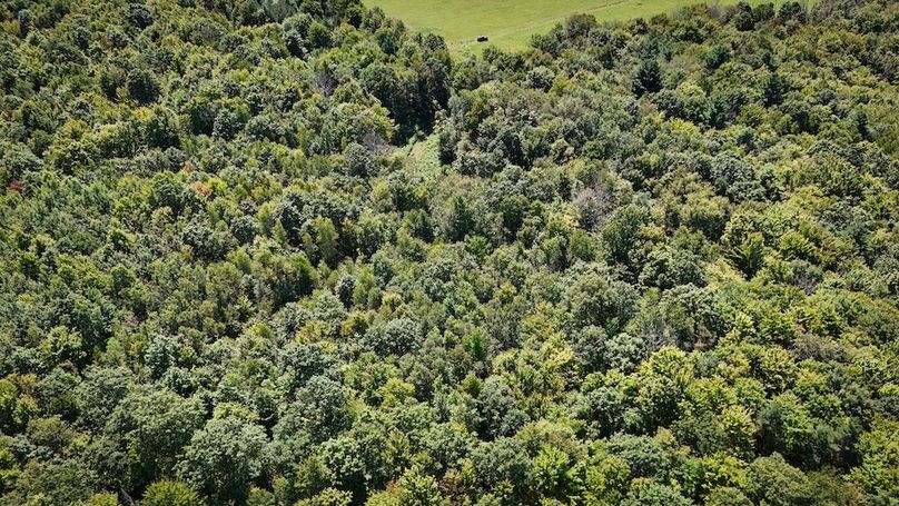 Tioga NY 64 Shores 21