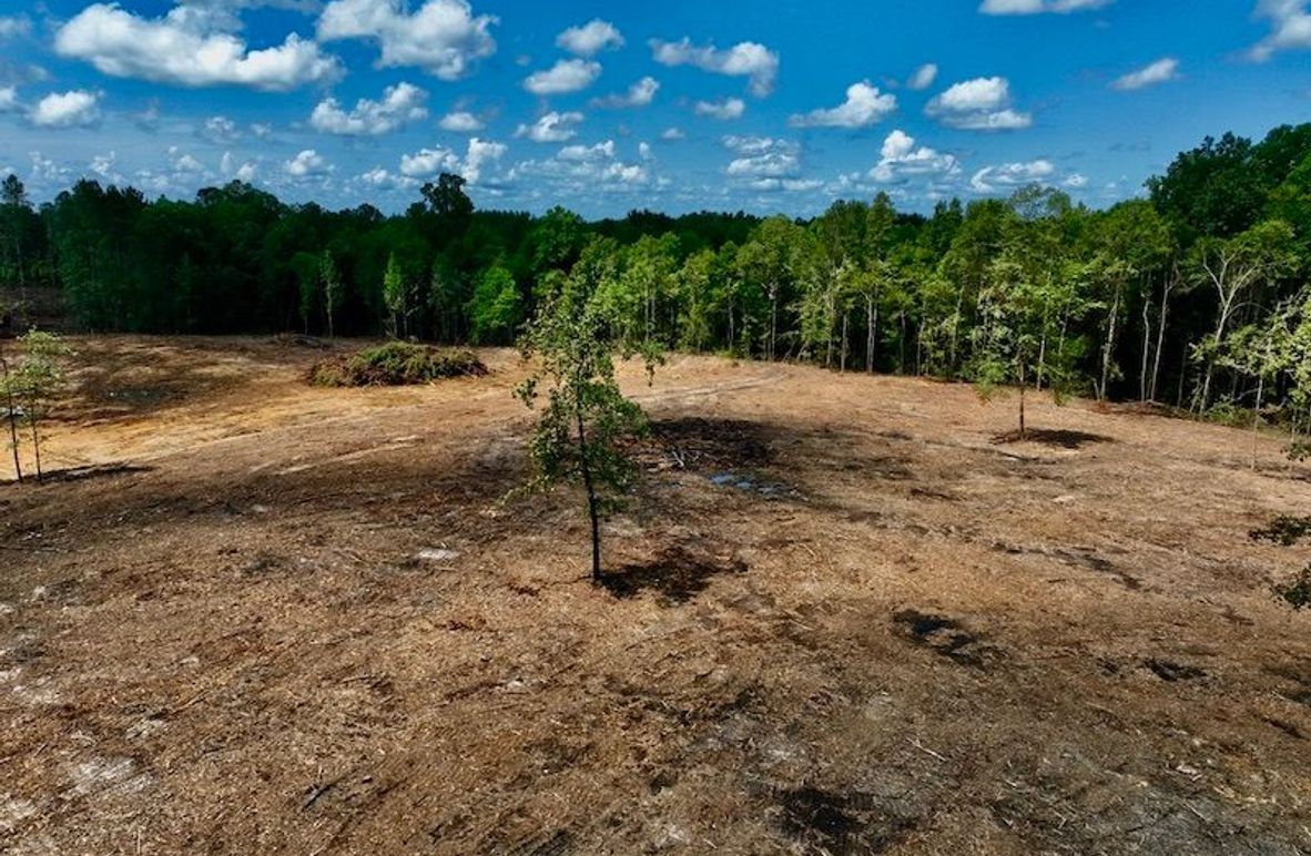 0DECF148-6364-48AF-B0C2-D716C960596E_1_105_c