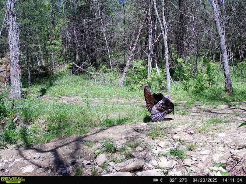 864049055876207-100-3-04232025141134-W1000947