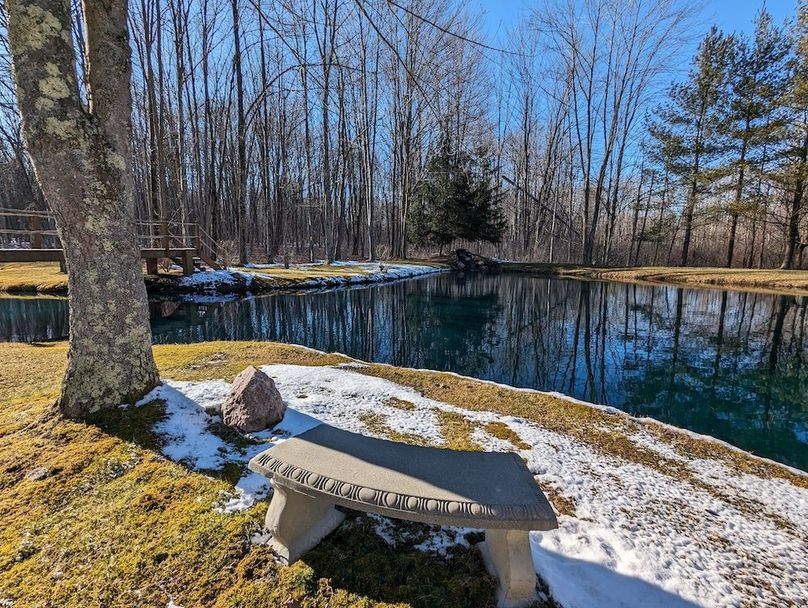 PXL_20240229_210202719