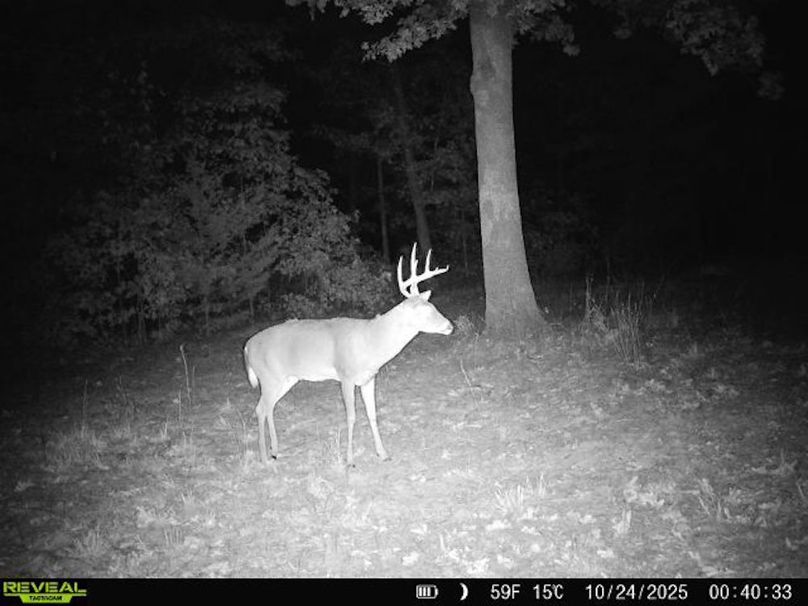 860516062938992-60-4-10242025004032-W1022067