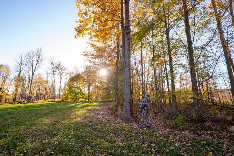 Elk PA 7000 Feature_Pro Photo-150