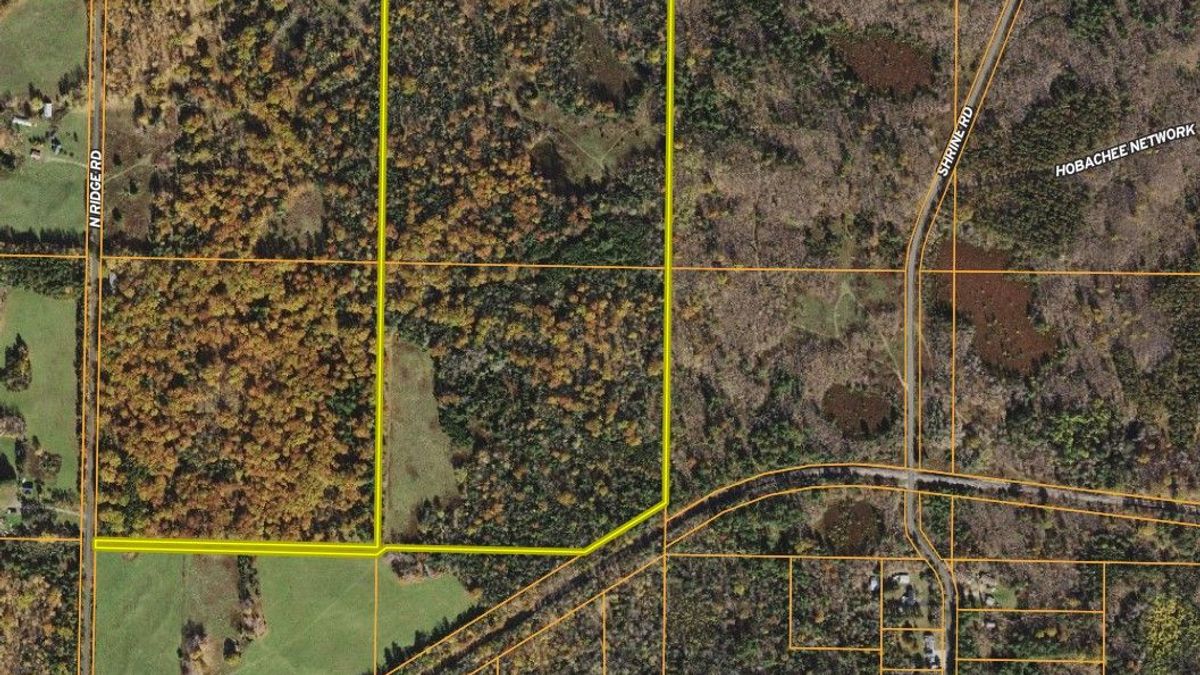 Rolling Hardwood Ridges With Good Hunting Whitetail Properties