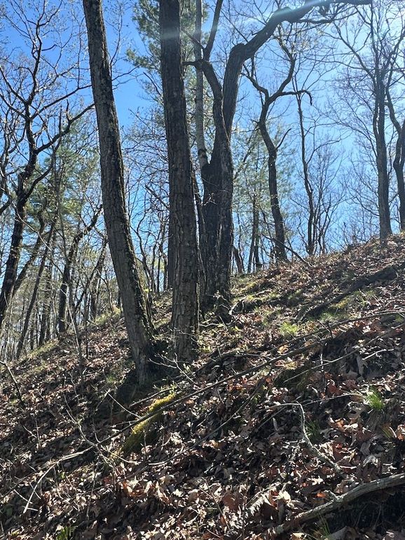 GC 67.97 Lime Kiln Land llc7A