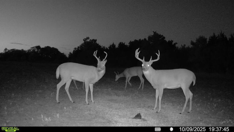 016578002025259-100-3-10092025193745-SYFW09364