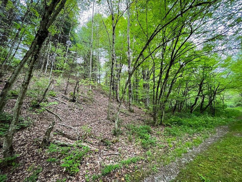 Tioga_78_Biada_Photos_97