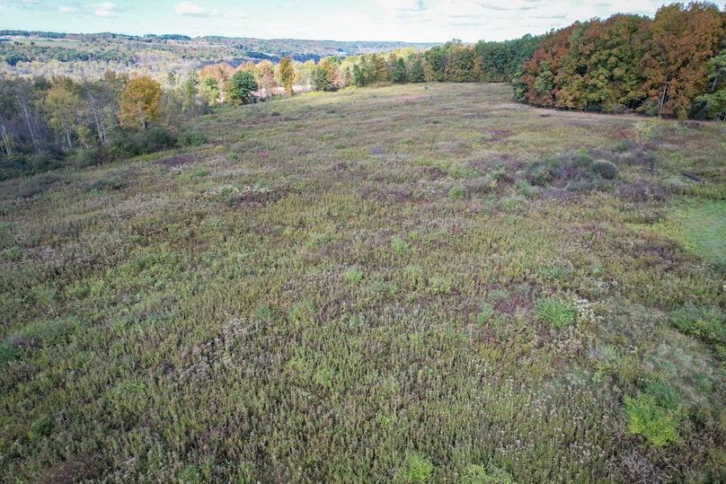 Tompkins_30.32_Hildreth_Estate_Phoros_40