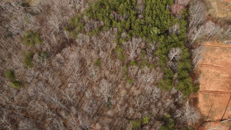 dji_fly_20230220_150638_63_1676923618786_photo