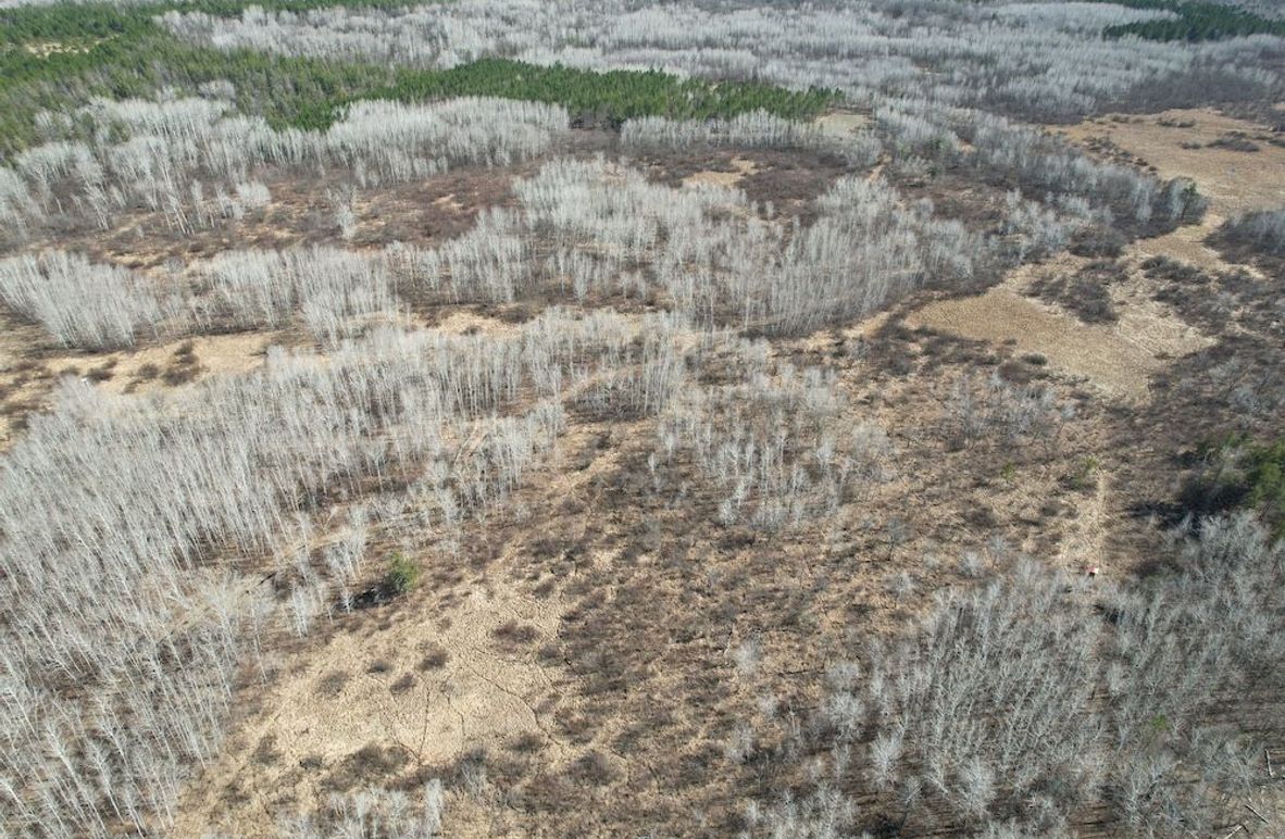 dji_fly_20260415_161236_154_1776288023830_photo